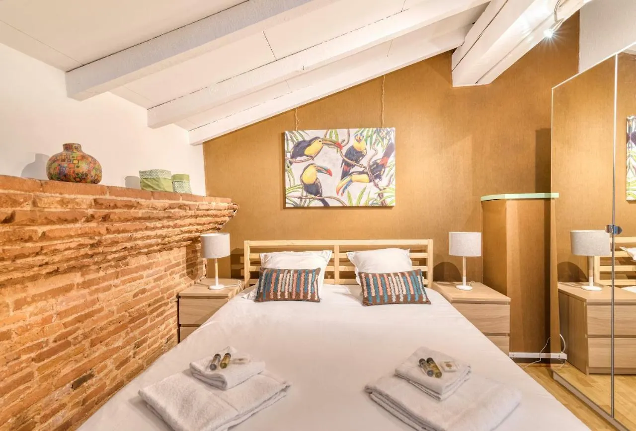 Theatre Opera Hyper Centre Apartamento Toulouse Francia