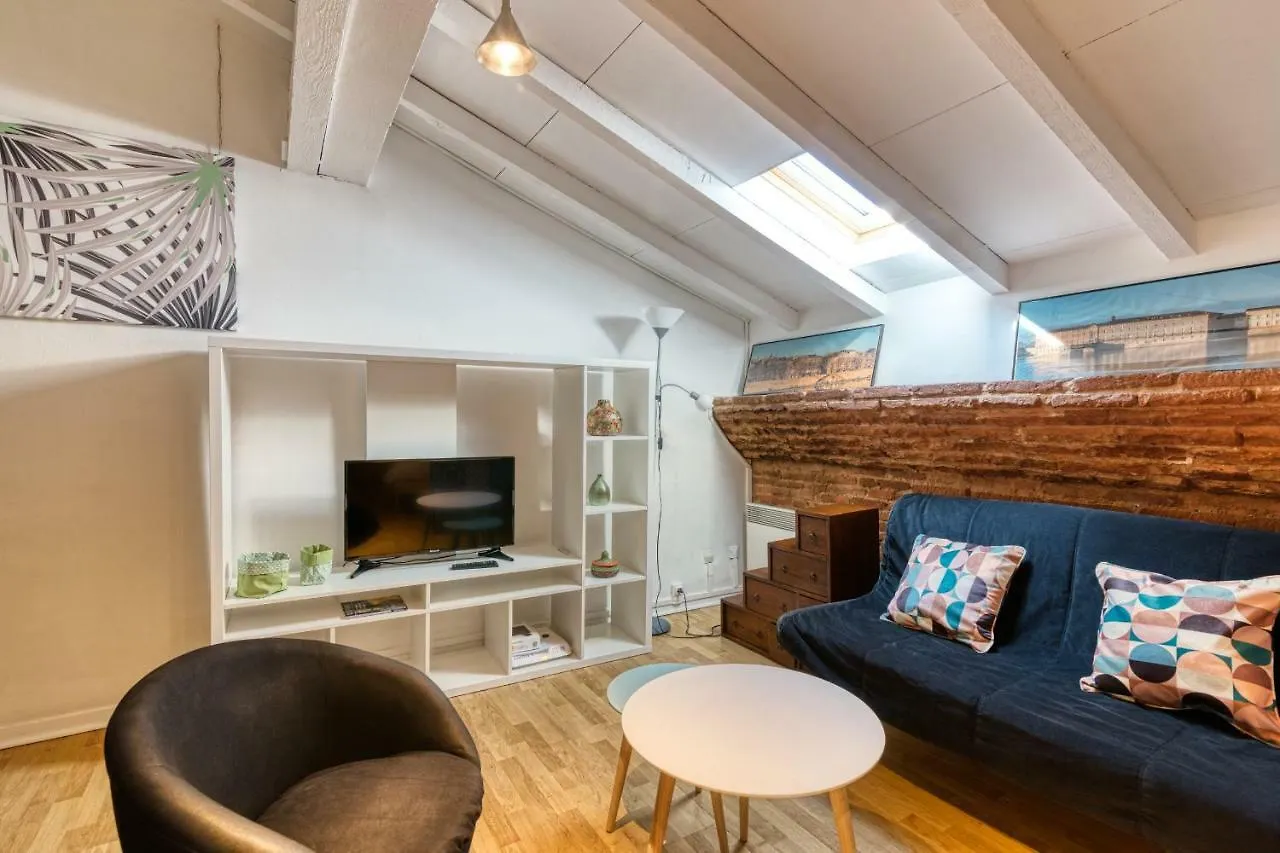 Theatre Opera Hyper Centre Apartamento Toulouse 0*,  Francia