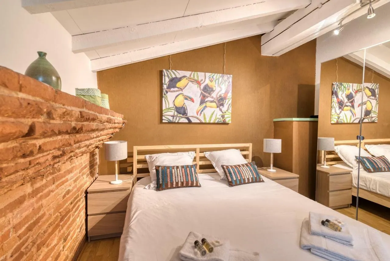 Theatre Opera Hyper Centre Apartamento Toulouse 0*,